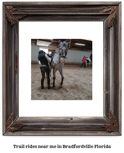 trail rides near me in Bradfordville, Florida